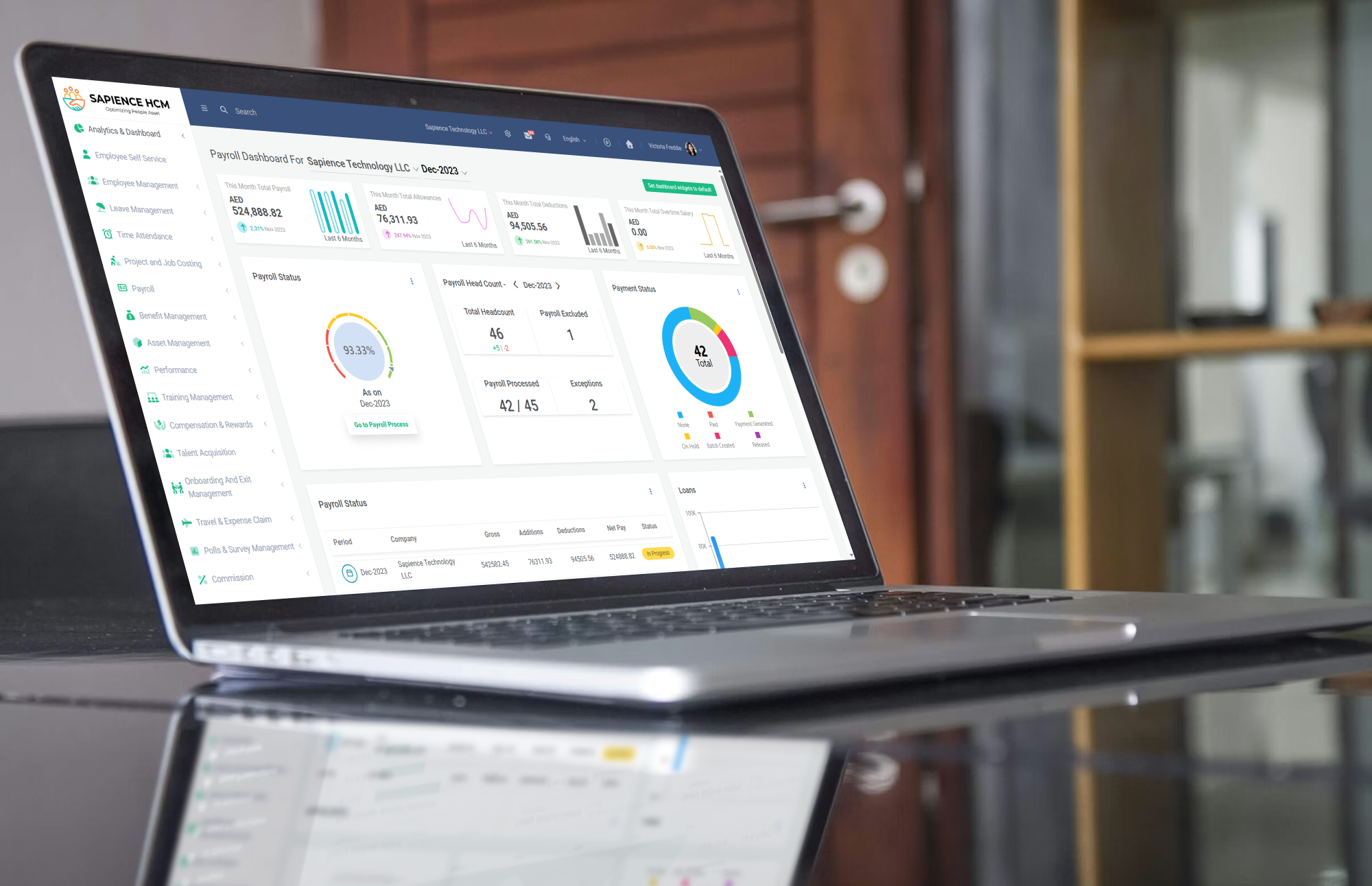 Sapience HCM Dashboard